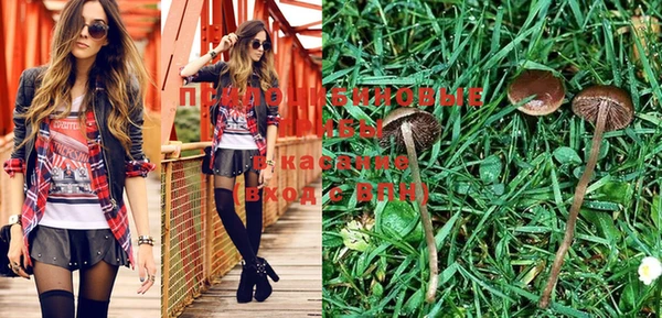 мдпв Ессентукская