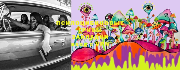 хмурый Новосибирск