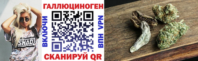 Купить закладки  Пустошка  Галлюциногенные грибы ЛСД 